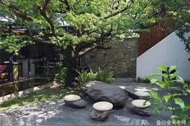 “三树院中栽，祸事天上来”，哪三树？看看你院子里有没有图片