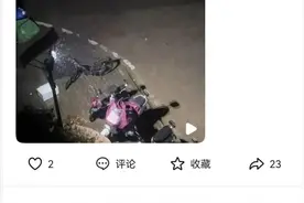 昨夜今晨，合肥下雪了！图片