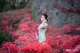 莫言的婚育观：底层男人续香火、中层男人找帮手、高层男人挑战友图片