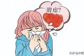 脾虚、湿盛、肠鸣、便溏、腹泻？脾胃问题不用怕，一文教你选对药图片