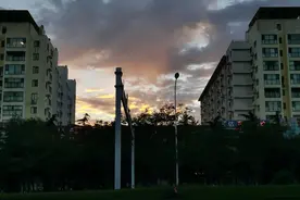 我是如何去除头皮屑的图片
