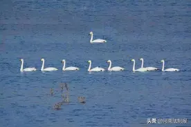 一条河与一部法——解读美丽淇河立法保护的鹤壁“密码”图片
