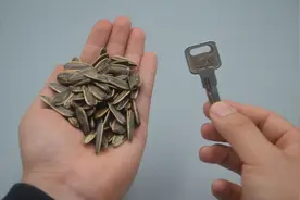 瓜子谁还用手剥？只需要一把钥匙，分分钟剥一大碗，不脏嘴不伤手图片