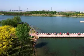 太行泉城 美丽邢台 ·水韵篇丨 九河下梢大陆泽 今日美丽新画卷图片
