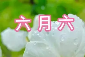 “六月初六吃馄饨，日子平顺添财宝”，馄饨到底怎样做才好吃？图片