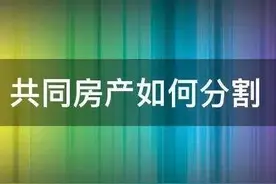 胜诉案例-按份共有房产，一人反对卖房分钱，法院如何分割？图片