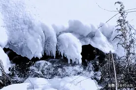 2023年“数九”时间表来了，哪天入九？哪天出九？图片