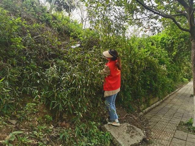 四川省民生研究会新媒体中心-官网