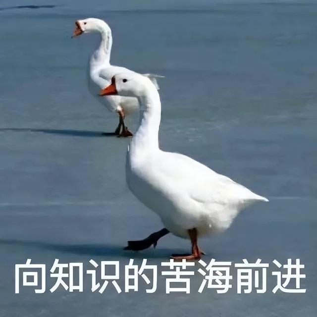 累了毁灭吧表情包