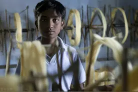 用人单位招用多大年龄的人，属于招用童工？将面临何种处罚？图片