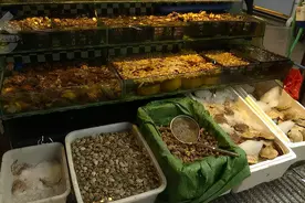 海鲜市场电子秤缺斤少两吗？查图片