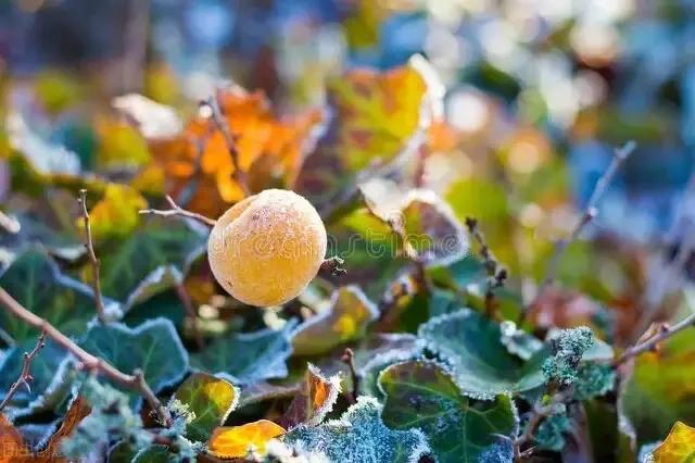 天气预报:15～21号大范围特大暴雨,2022年秋天冷到哭?答案来了