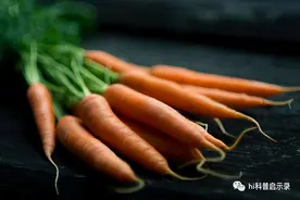 ​我们是如何实现蔬菜自由的？伟大的“菜篮子工程”图片