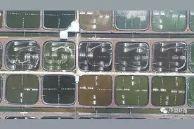 厄瓜多尔的养虾业，为何能够独领全球？今天就跟你揭露！图片