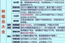 乡村振兴概念股名单图片