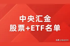 中央汇金最新持仓曝光！这十大ETF与个股需要密切关注（附名单）图片