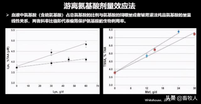 銆屽涔犵瑪璁般€嶅崪鐧绘攢鐮旂┒鍛橈細杩囩槫鑳冩皑鍩洪吀鐢熺墿鍒╃敤鐜囪瘎浠蜂笌鍒╃敤