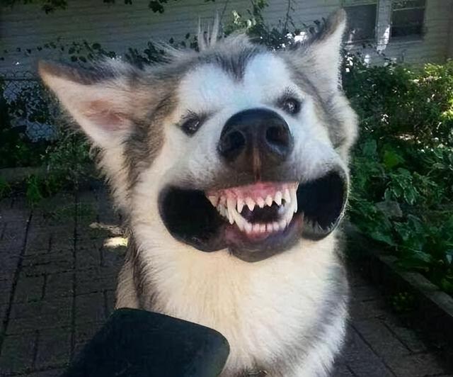 Ъ㻹֪Щ
