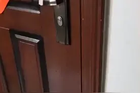 山东一出租屋1个月没人住，猫咪叫得凄惨，饿到自己开门求救图片