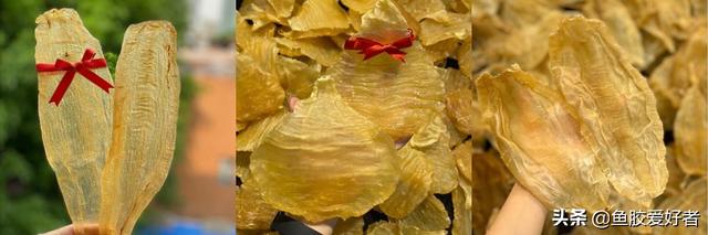 什么口感的花胶比较好 什么口感的花胶比较好一点