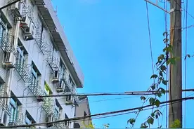 车上偶遇小孩（日记）图片