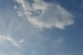 胆子最大的人是谁图片