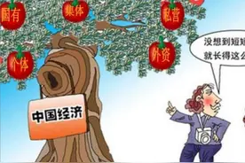中国经济是公有制还是私有制？其实都不是，我们是家国共有制图片