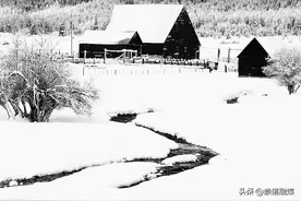 寒冬，拍摄雪景的10个思路！图片