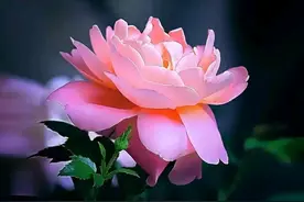 佛说：属于你的，不会离开，不属于你的，求也不来图片