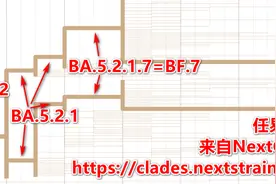 北京的孙子辈毒株BF.7比广州的爷爷辈毒株BA.5猛多了图片