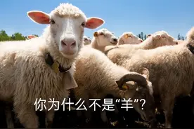 为何有人至今未阳？真有人天生能克新冠吗？有四种原因，包括幸运图片