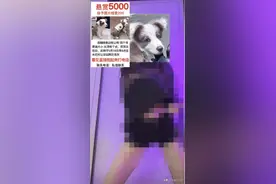 为了找回爱狗，她发“擦边视频”，火了后还帮别人找宠物，网友们却吵翻了！图片