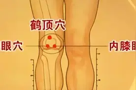 天一冷，老寒腿又犯了……常按这个穴位，疏经通络图片