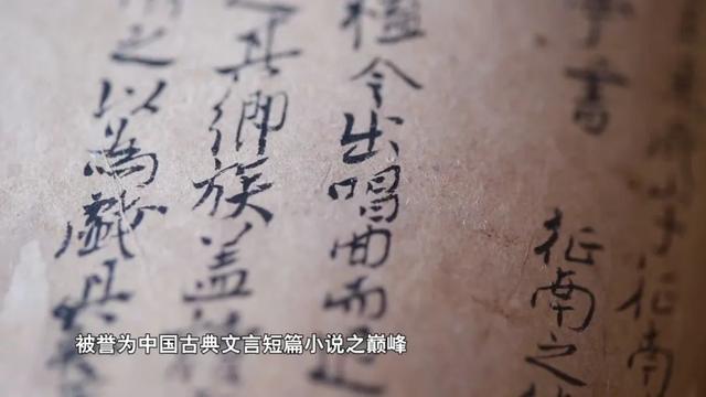别刷短视频了！爱奇艺纪录片5大上新速递，这波安利必须吃~