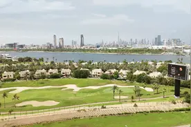 中东迪拜常见绿化植物及地方特色植物图片