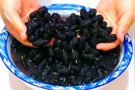 洗桑葚有人加盐，有人加面？老果农：教你正确做法，虫卵自动溜走图片
