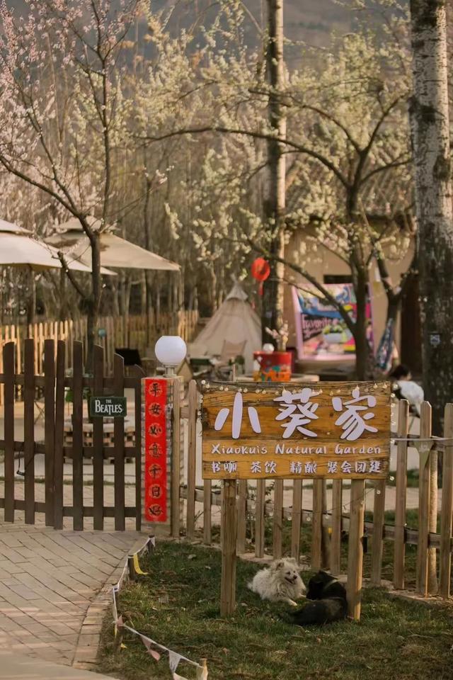 乡约长安 最美民宿——建设西部强区的见证者 首届手机摄影大赛