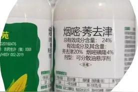 【科普园地】玉米除草剂三种成分知多少图片