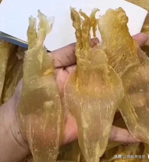 人工合成花胶 人工合成花胶可以吃吗