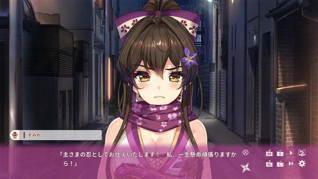 十大绅士游戏盘点，萌妹子好多哦~我不信有直男会不想玩(上)