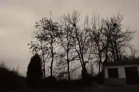 是什么样的鬼故事吓了你十几年图片