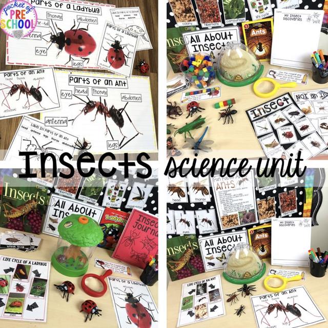 С��ѧ��̽��ϵ��֮�������׻�زİ�