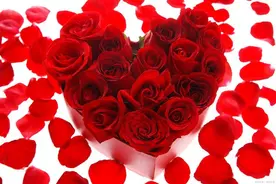 三分钟让你知道，情人节怎么过图片