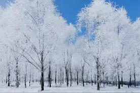 哈尔滨冰雪季，邂逅冬日专属浪漫图片