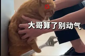 表情包｜睁一只眼，闭一只眼图片