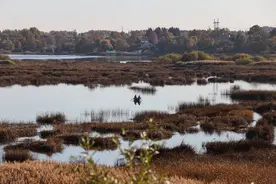 秋季好钓鱼种大盘点，这6种鱼如果钓不到，那么肯定是技术原因图片