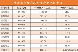 陕西十大最赚钱上市公司图片