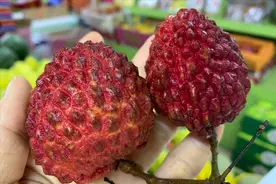 5大荔枝品种对比，妃子笑排倒数第2，挂绿只能排第3，建议了解图片