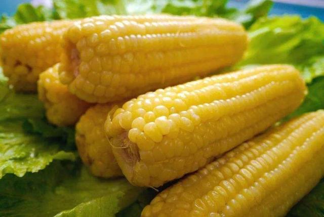 “易瘦的”主食排行榜，玉米排倒数第一，紫薯第二，建议了解