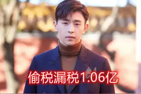 娱乐圈中一再传出明星偷税漏税，为何拿着天价酬劳却偏要知法犯法图片